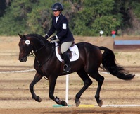 Donnelly Eventing