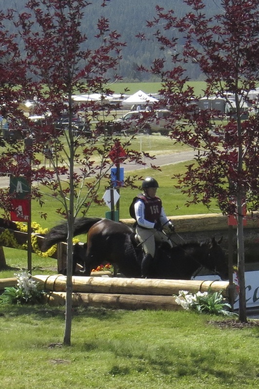 Donnelly Eventing