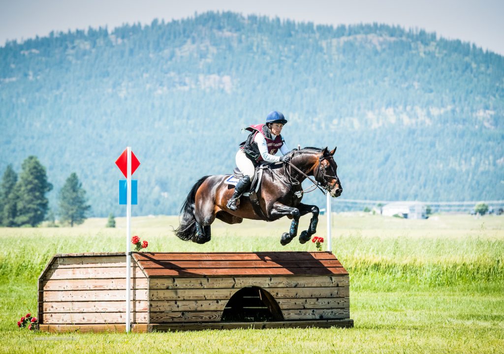 Donnelly Eventing